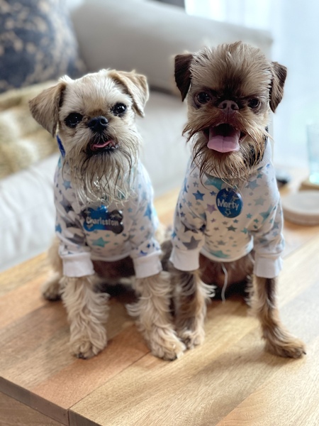 Charleston and Morty