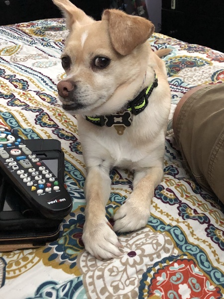 Coda