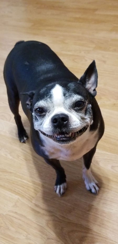 Sadie 