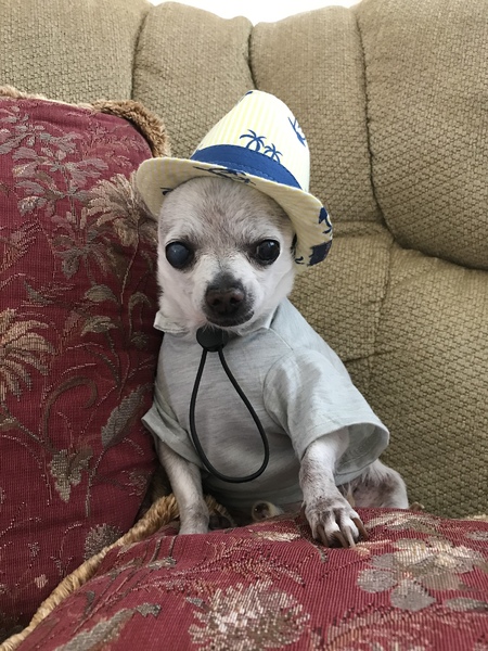 Ranger 