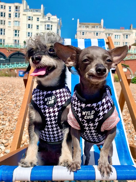 Betty & Bean