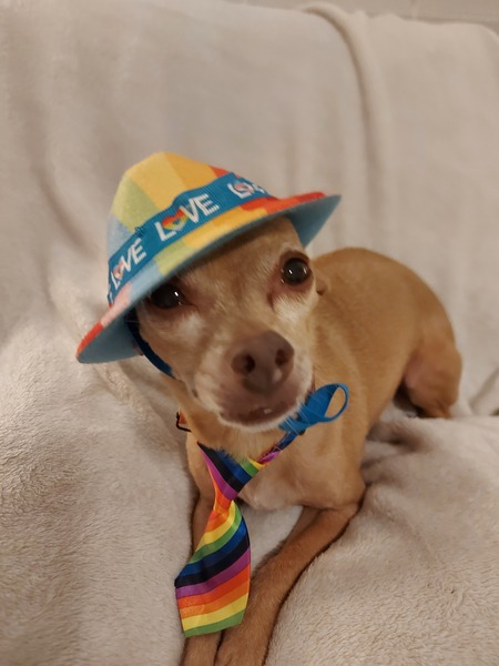 SkippyJon 