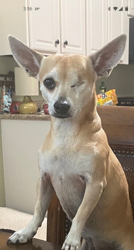 Fiona