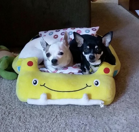 Angus & Betty 