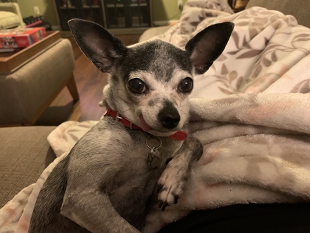 Berni aka Bernadette