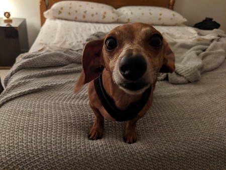 Oscar