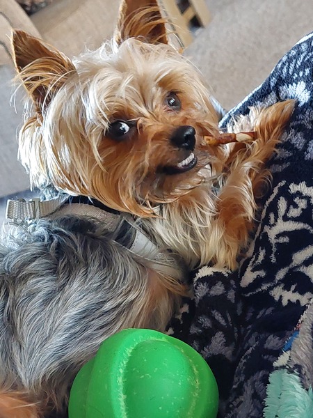 Ralphie