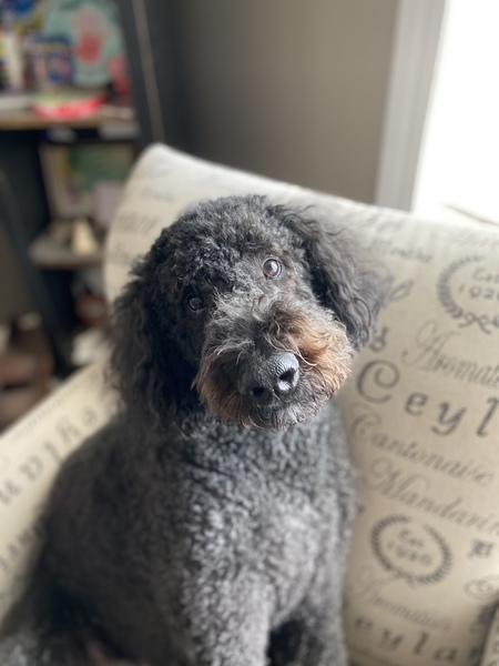 Tuukka