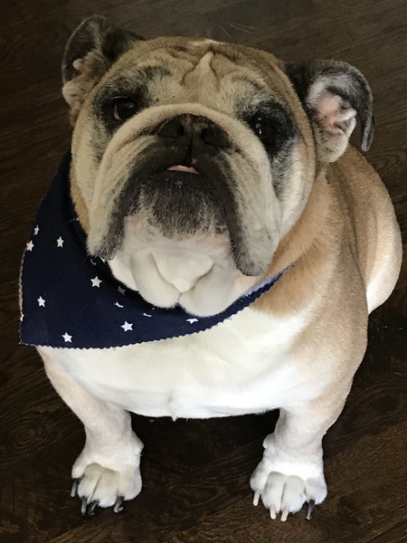 Bubba