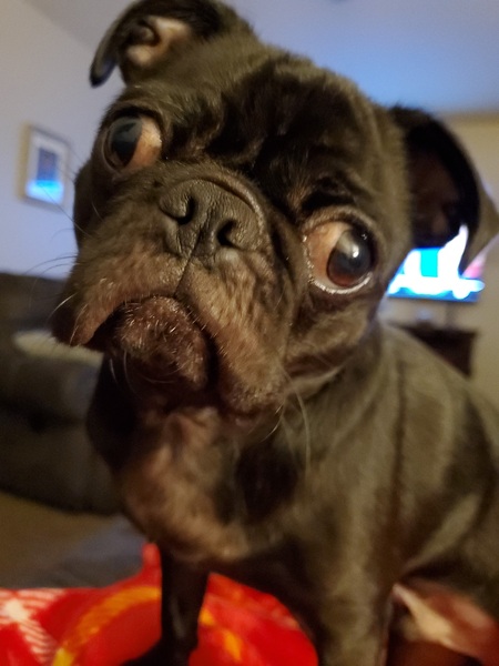 Charlie 