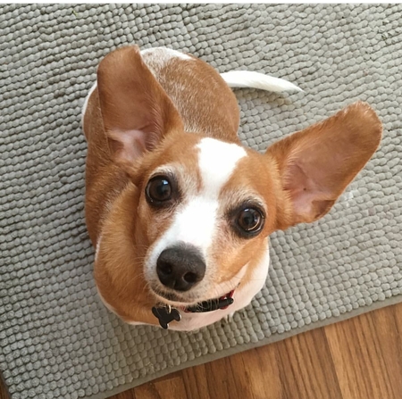 Maximus