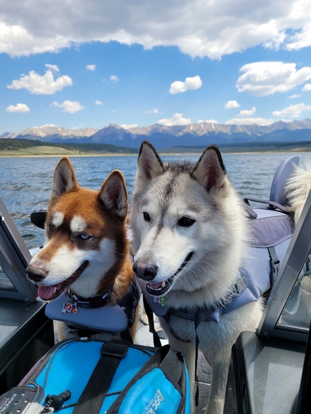Marvel & Aspen