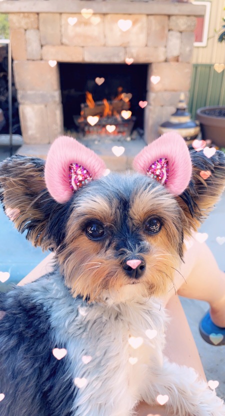 Sophie 