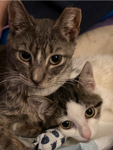 Honey and Newt