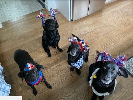 Minnie, Mabel, Mary, & Maggie