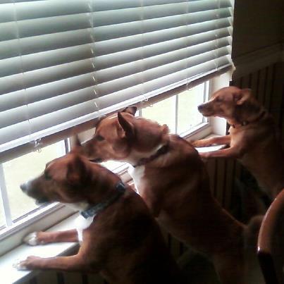 Buster, April and Sally