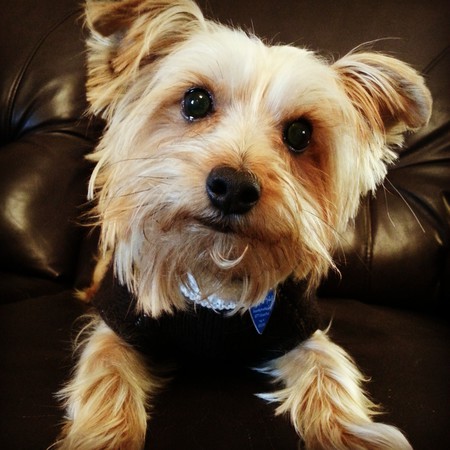 Charlie