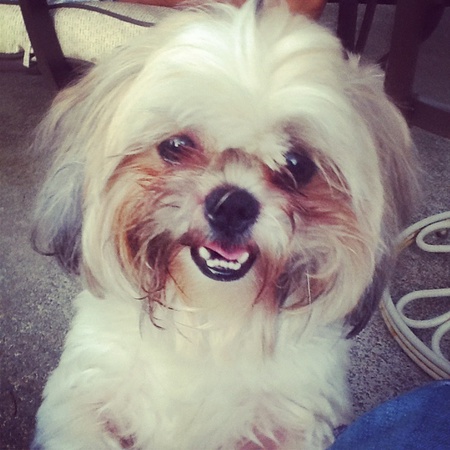 Gizzy