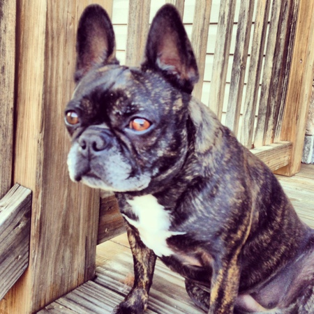 Bella