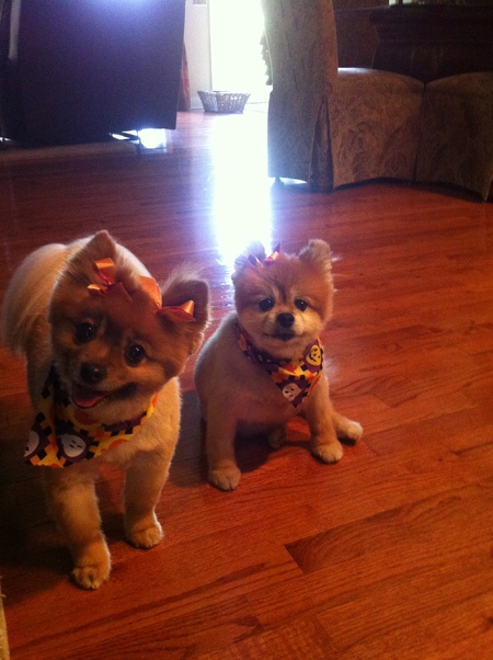 Candi and Mandi 