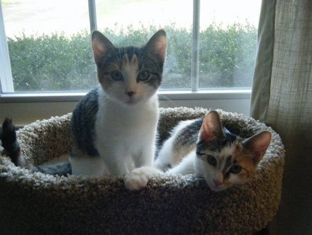 Jenny and Nessa
