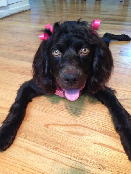 Lulabelle Chastain
