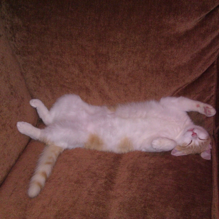 Ranga
