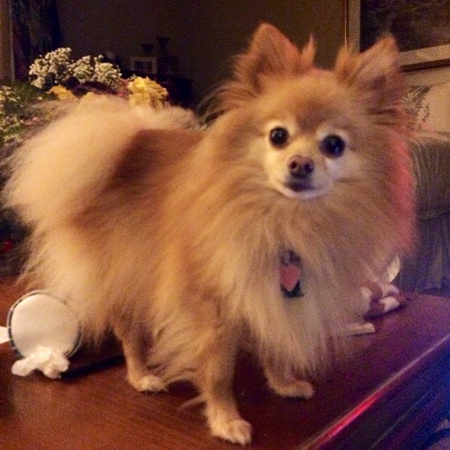 Chloe