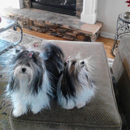 Rocky & Yogi