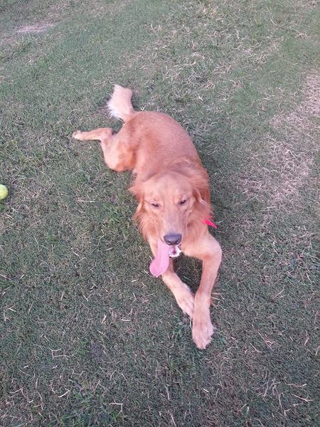 Rusty