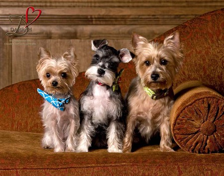 Madeline, Bernie, and Willow Ruff