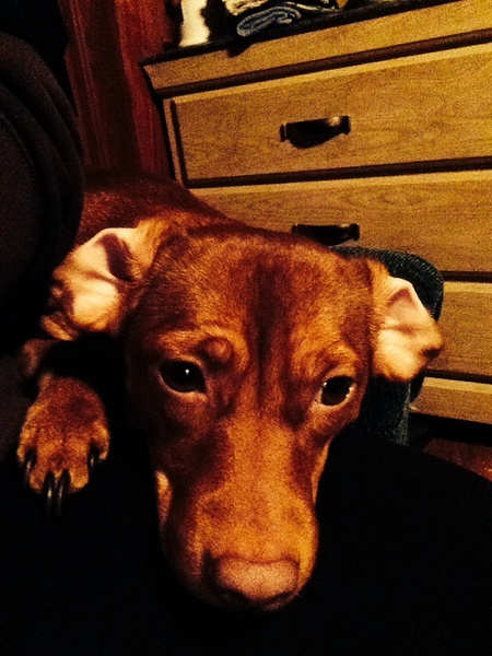 Baby girl 