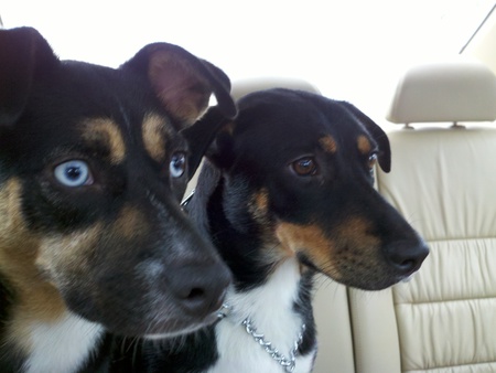 Brittany and Ruby