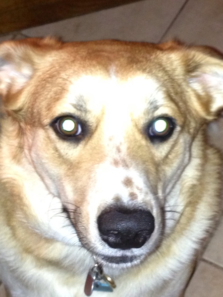 Cooper