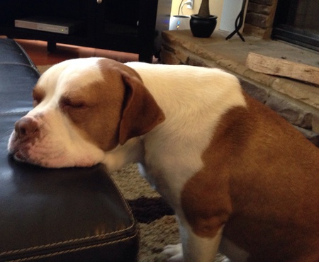 Duke Brown