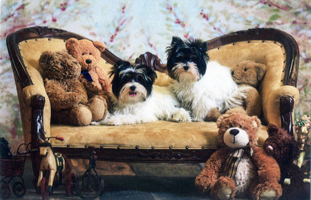Entry image for Zoe & Zack. Clicking this image will show a larger photo