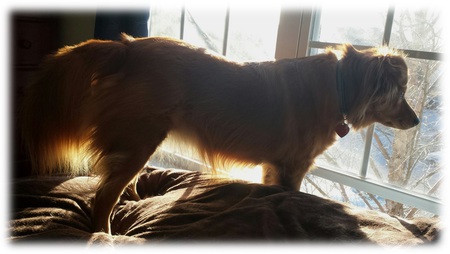 Entry image for Raina. Clicking this image will show a larger photo
