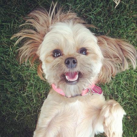 Entry image for Sophie. Clicking this image will show a larger photo