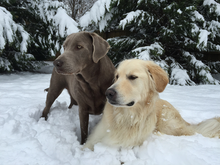 Atti & Briley