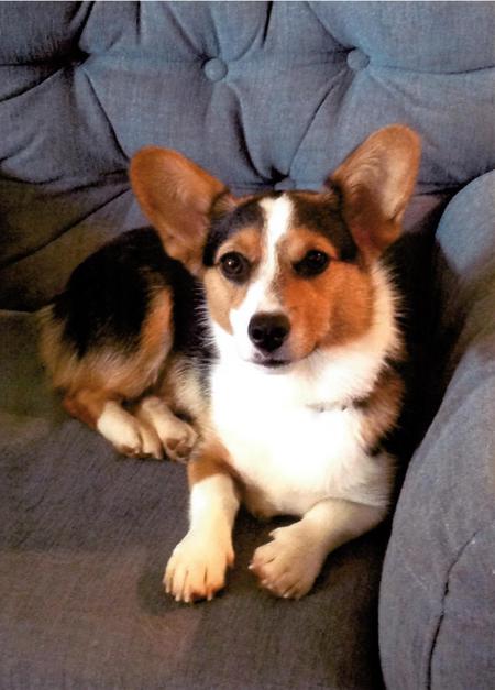 Entry image for Maddie. Clicking this image will show a larger photo