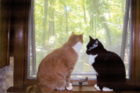 Entry image for Benjamin & Howard. Clicking this image will show a larger photo