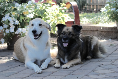 Entry image for Jake & Abbie. Clicking this image will show a larger photo