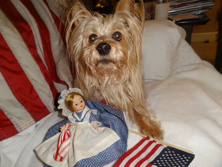 Entry image for Scotty. Clicking this image will show a larger photo