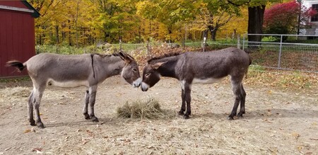 Oliver and Lily