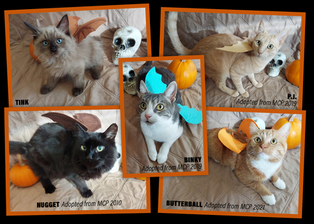 Binky, PJ, Butterball, Nugget, and Tink