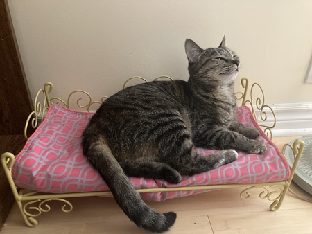 Athena