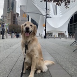 Entry image for Olek