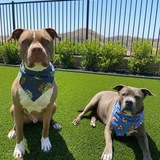 Entry image for Mack & Sally 