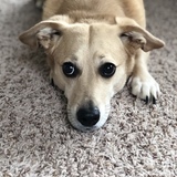 Entry image for Cali