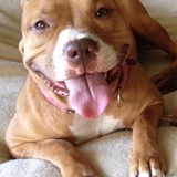 Entry image for Emma